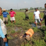 Korban masih tergeletak di TKP.