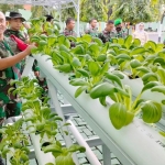 Kasrem 084/Bhaskara Jaya, Kolonel Inf H. Sugiyono mengajak personelnya memanen hasil tanaman sayuran yang ditanam dengan sistem akuaponik dan organik.