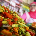 Cabai rawit yang dijual di Pasar Citra Niaga Kabupaten Jombang. 
foto: RONY S/ BANGSAONLINE
