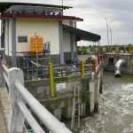 Wali Kota Risma saat meninjau langsung Tanggul Kali Lamong untuk memastikan kondisinya mampu menahan aliran air Anak Sungai Bengawan Solo. (foto: ist)