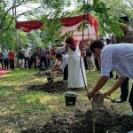 Pasangan pengantin saat menanam satu pohon di Taman Kebun Ratu, Peterongan, Jombang.