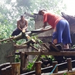 Warga kerja bakti membersihkan puing dan runtuhan pohon yang menimpa rumah warga. 