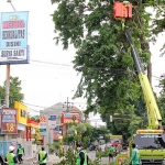 Petugas DLHKP saat memangkas pohon di pinggir jalan protokol Kota Kediri. (foto: ist)