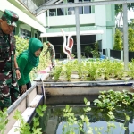 Danrem 084/BJ, Brigjen TNI Terry Tresna Purnama, saat memanen sayuran dari sistem akuaponik.
