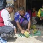 Salah satu warga saat menikmati petik buah durian Medowo di desa Medowo Kecamatan Kandangan Kabupaten Kediri. foto: hms