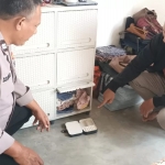 Anggota Polsek Kembangbahu Lamongan saat olah TKP
