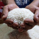 Ilustrasi harga beras yang melonjak naik di Sampang, Madura (foto: Ist)