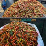 Beberapa hari ini harga cabai rawit di Jatim mengalami kenaikan. Foto: Bangsaonline.