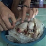 Penerima bantuaan saat menunjukkan kondisi daging ayam tak layak konsumsi. (foto: ist)