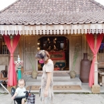 Para pengunjung Segunung Omah Sego & Kopi Sidoarjo tampak menikmati suasana.