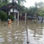 TERENDAM-Begini kondisi Dusun Balong Desa Banyulegi Kecamatan Dawarblandong akibat luapan Kali Lamong. (gunadhi/BangsaOnline.com)