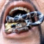 Aksi Duarte yang meletakkan ular dan katak di mulutnya foto: repro telegrahp/jacundá/Newsflare