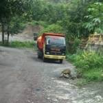 Tampak alat berat sedang beroprasi dan truk dump hilir mudik mengangkut material tambang. (Nanang Ari/BANGSAONLINE)