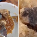 Penampakan video viral terkait bakso yang diduga mengandung daging tikus di Surabaya.