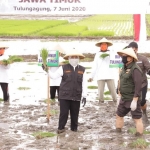 Gubernur Jawa Timur, Khofifah Indar Parawansa dalam acara tanam padi. foto: ist/ bangsaonline.com