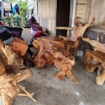 Muntoko menunjukkan meja dan kursi dari akar kayu jati hasil karyanya. foto: MUJI HARJITA/ BANGSAONLINE