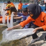 Anggota BPD membantu kegiatan penebaran bibit ikan lokal di Embung Pilangbango.