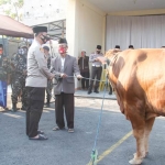 Kapolres Ngawi AKBP Dicky Ario Yustisianto saat menyerahkan hewan kurban.