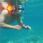 
Pengunjung sedang menikmati snorkling di pulau Gili, Bawean.
syuhud/ BANGSAONLINE

