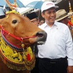 Menteri Pertanian RI Andi Amran Sulaiman saat disambut dengan tarian Sapi Sonok (Sapeh Sono