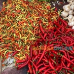 Harga cabai keriting mengalami kenaikan paling tinggi. Foto: Sulthon/Bangsaonline.