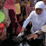Gubernur Jatim, Khofifah Indar Parawansa meninjau langsung Pasar Ikan di Lamongan. foto: ist