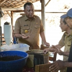 Pjs Bupati Kediri, Heru Wahono Santoso, saat mengecek produksi kopi lereng wilis. Foto: Ist