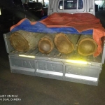 Inilah di antara kayu yang dicuri tiga pria itu. foto: yudi indrawan/ bangsaonline.com