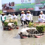 Bupati Gresik, Gus Yani bersama Kajati Jatim, Mia Amiati dan Dirut Petrokimia Gresik, Dwi Satriyo Annurogo tanam padi dengan alat modern transplanter di Desa Tambakrejo, Kecamatan Duduksampeyan. FOTO: ist.