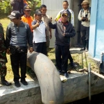 Bupati Fadeli saat meninjau pompa air di Kecamatan Babat.