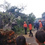 Petugas dibantu warga sedang mengevakuasi pohon yang roboh.