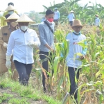 Bupati Gus Yani melakukan kegiatan Sapa Petani di Desa Setro, Kecamatan Menganti. foto: SYUHUD/ BANGSAONLINE
