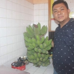 Petugas menunjukkan barang bukti pisang yang dicuri pelaku. foto: ZAIINAL ABIDIN/ BANGSAONLINE