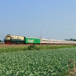 Kereta api saat melintasi persawahan petak Ngujang (Tulungagung) - Kras - Ngadiluwih (Kediri). Foto: Ist.
