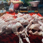 Harga daging ayam ras hari ini mengalami penurunan. Foto: Sulthon/Bangsaonline.