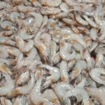 Foto udang yang sedang dijual dipasar