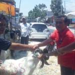 Pendiri RGS-SQ, H Moh Khozin menyerahkan hewan kurban kepada ketua RT 05 RW 03 Perumahan Kembangan Regency, Katik Alfarizi. foto: syuhud/BANGSAONLINE