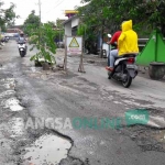 Pohon yang ditanam warga Srembi, Desa Kembangan, Kecamatan Kebomas sebagai bentuk protes. foto: SYUHUD/ BANGSAONLINE