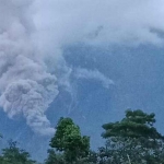 Awan panas guguran Gunung Semeru meluncur sejauh 1,5 kilometer.