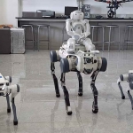 Robot Anjing Berkaki Empat yang dikembangkan secara kolaborasi antara Robotika ITS dengan Ezra Robotics. (Ist)