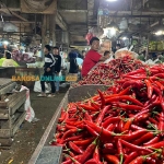Cabai merah besar mengalami kenaikan paling tinggi. Foto: Sulthon/Bangsaonline.