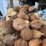 Kelapa yang dijual di Pasar Anom Baru Sumenep