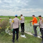 Proses evakuasi mayat tanpa kepala di Jombang.