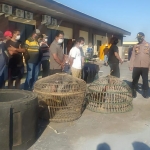 Barang bukti dua ayam jago beserta para warga yang terciduk saat penggerebekan judi sabung ayam di Desa Lebo, Kecamatan Sidoarjo.