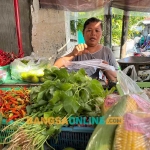 Harga sembako di Bali hari ini masih mengalami penurunan. Foto: Sulthon/Bangsaonline.