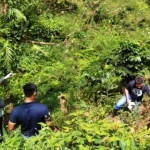 Petugas Polres Jember saat melakukan pencarian tulang di areal perkebunan.