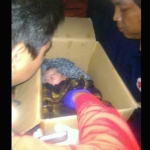 Kondisi bayi perempuan saat ditemukan di dalam kardus.