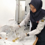 Petugas BNNK saat memeriksa satu per satu sampel urine.