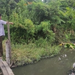 Warga menunjukkan tempat di bagian sungai yang kerap muncul buaya