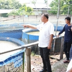 Pjs Bupati Heru Wahono Santoso saat meninjau salah satu tempat yang merupakan produsen ikan lele terbesar di Bumi Panjalu. (Ist)